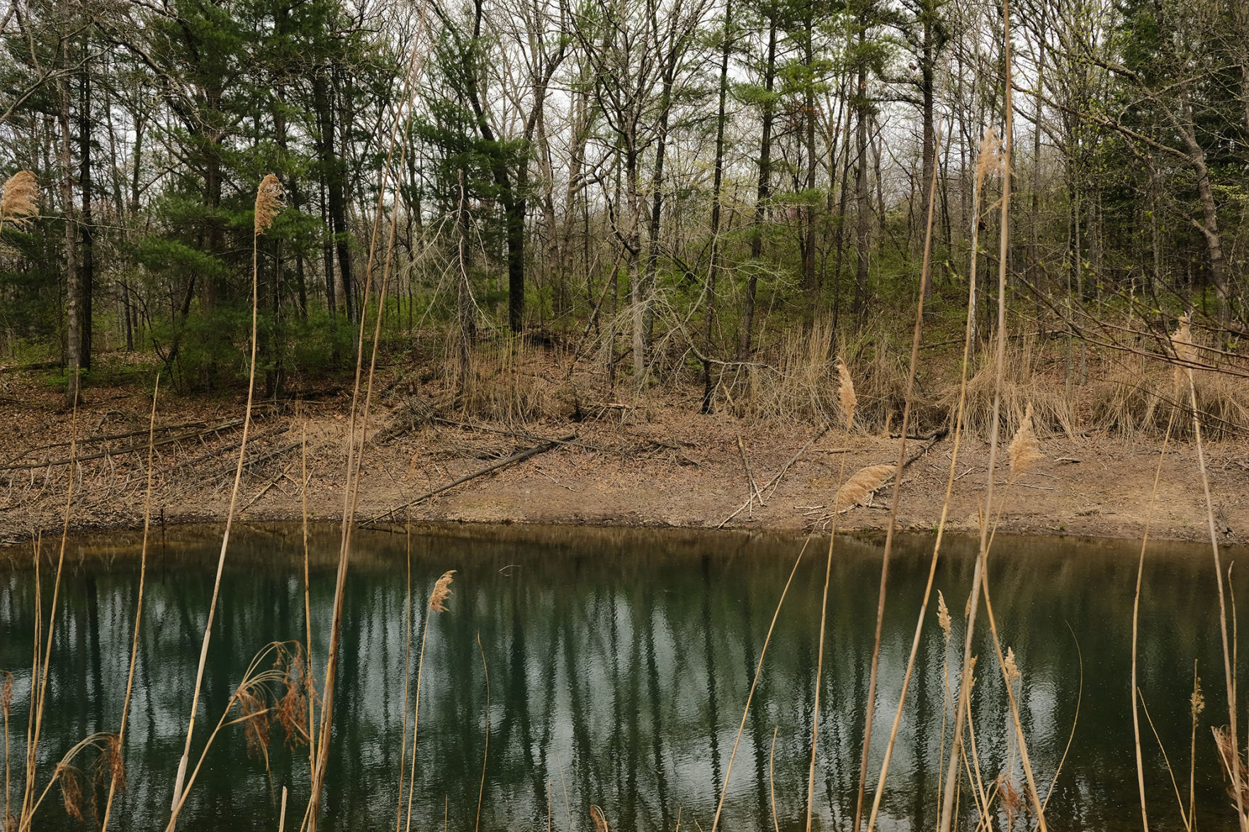 DuBose lake